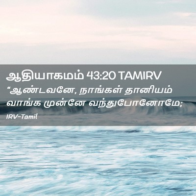 Picture 02 - ஆதியாகமம் 43:20 TAMIRV - “ஆண்டவனே, நாங்கள் - Bible Verse Picture