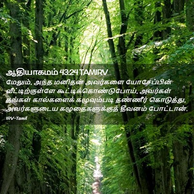 Picture 02 - ஆதியாகமம் 43:24 TAMIRV - மேலும், அந்த - Bible Verse Picture