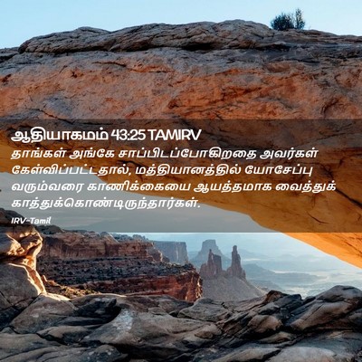 Picture 02 - ஆதியாகமம் 43:25 TAMIRV - தாங்கள் அங்கே - Bible Verse Picture