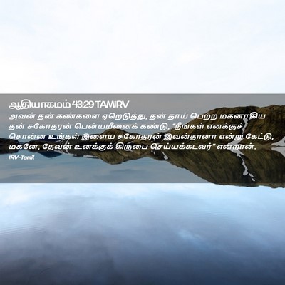 Picture 02 - ஆதியாகமம் 43:29 TAMIRV - அவன் தன் கண்களை - Bible Verse Picture