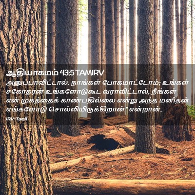 Picture 02 - ஆதியாகமம் 43:5 TAMIRV - அனுப்பாவிட்டால். - Bible Verse Picture