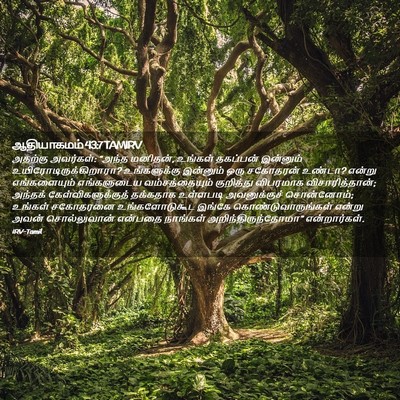 Picture 02 - ஆதியாகமம் 43:7 TAMIRV - அதற்கு அவர்கள்: - Bible Verse Picture