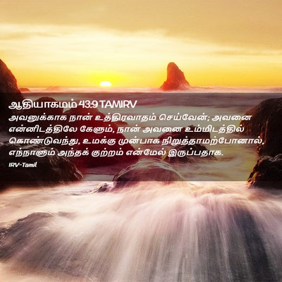Picture 02 - ஆதியாகமம் 43:9 TAMIRV - அவனுக்காக நான் - Bible Verse Picture