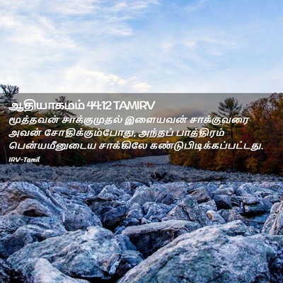 Picture 02 - ஆதியாகமம் 44:12 TAMIRV - மூத்தவன் - Bible Verse Picture