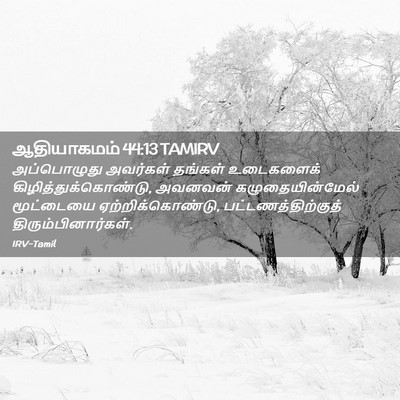 Picture 02 - ஆதியாகமம் 44:13 TAMIRV - அப்பொழுது அவர்கள் - Bible Verse Picture