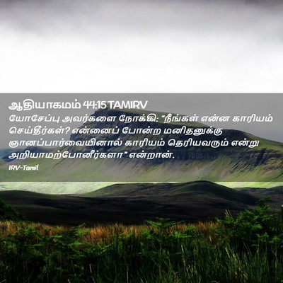 Picture 02 - ஆதியாகமம் 44:15 TAMIRV - யோசேப்பு அவர்களை - Bible Verse Picture