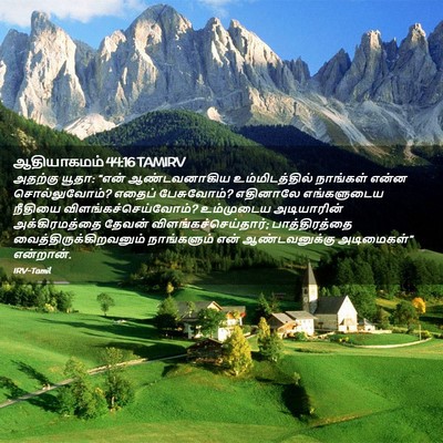 Picture 02 - ஆதியாகமம் 44:16 TAMIRV - அதற்கு யூதா: “என் - Bible Verse Picture