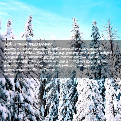 Picture 02 - ஆதியாகமம் 44:20 TAMIRV - அதற்கு நாங்கள்: - Bible Verse Picture