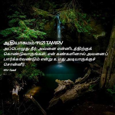 Picture 02 - ஆதியாகமம் 44:21 TAMIRV - அப்பொழுது நீர்: - Bible Verse Picture