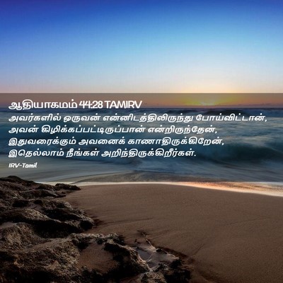 Picture 02 - ஆதியாகமம் 44:28 TAMIRV - அவர்களில் ஒருவன் - Bible Verse Picture