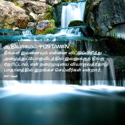 Picture 02 - ஆதியாகமம் 44:29 TAMIRV - நீங்கள் இவனையும் - Bible Verse Picture