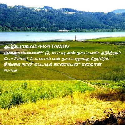 Picture 02 - ஆதியாகமம் 44:34 TAMIRV - இளையவனைவிட்டு, - Bible Verse Picture
