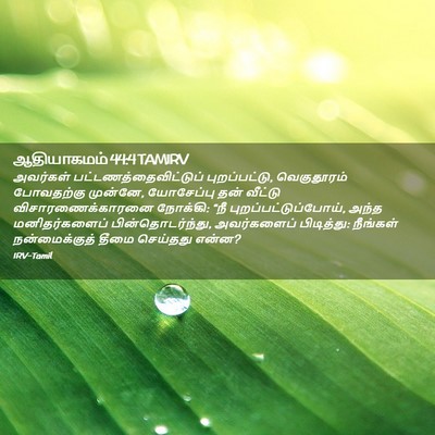 Picture 02 - ஆதியாகமம் 44:4 TAMIRV - அவர்கள் - Bible Verse Picture