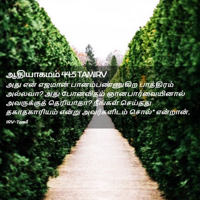 Picture 02 - ஆதியாகமம் 44:5 TAMIRV - அது என் எஜமான் - Bible Verse Picture