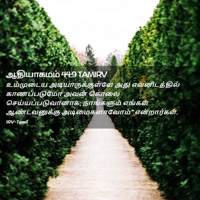 Picture 02 - ஆதியாகமம் 44:9 TAMIRV - உம்முடைய - Bible Verse Picture