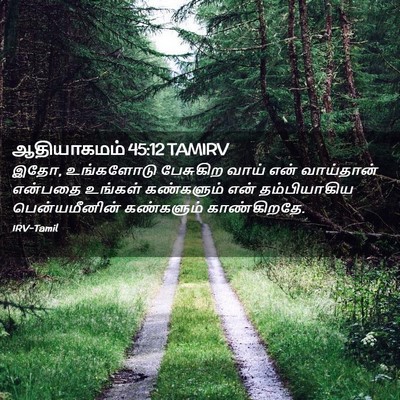 Picture 02 - ஆதியாகமம் 45:12 TAMIRV - இதோ, உங்களோடு - Bible Verse Picture