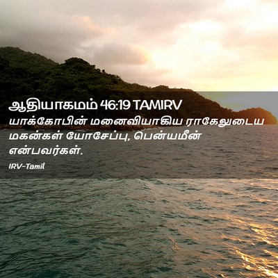 Picture 02 - ஆதியாகமம் 46:19 TAMIRV - யாக்கோபின் - Bible Verse Picture