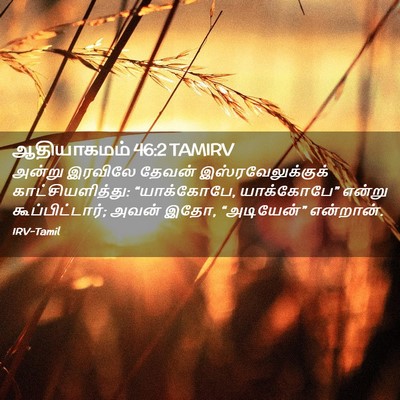 Picture 02 - ஆதியாகமம் 46:2 TAMIRV - அன்று இரவிலே - Bible Verse Picture