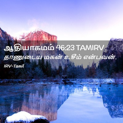 Picture 02 - ஆதியாகமம் 46:23 TAMIRV - தாணுடைய மகன் - Bible Verse Picture