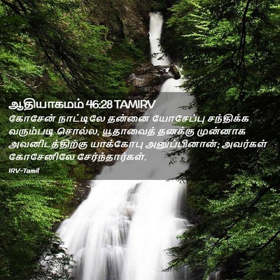 Picture 02 - ஆதியாகமம் 46:28 TAMIRV - கோசேன் நாட்டிலே - Bible Verse Picture