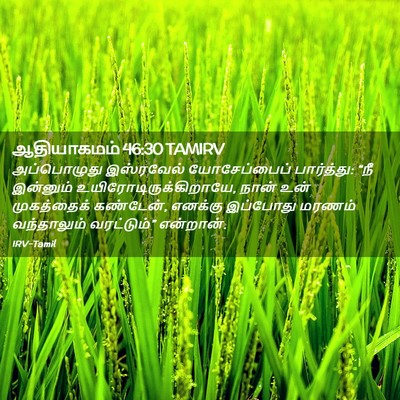 Picture 02 - ஆதியாகமம் 46:30 TAMIRV - அப்பொழுது - Bible Verse Picture