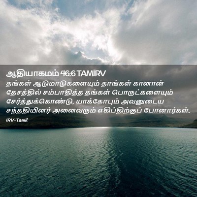 Picture 02 - ஆதியாகமம் 46:6 TAMIRV - தங்கள் - Bible Verse Picture