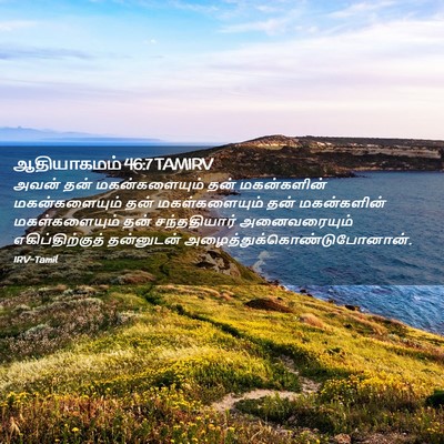 Picture 02 - ஆதியாகமம் 46:7 TAMIRV - அவன் தன் - Bible Verse Picture