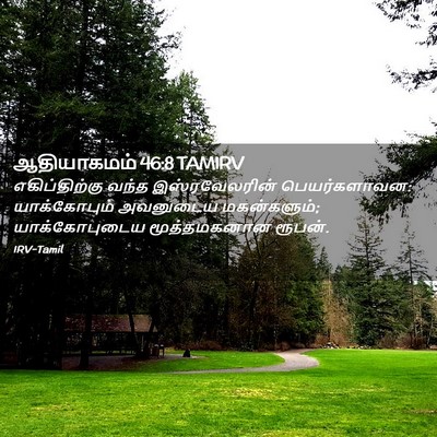 Picture 02 - ஆதியாகமம் 46:8 TAMIRV - எகிப்திற்கு வந்த - Bible Verse Picture