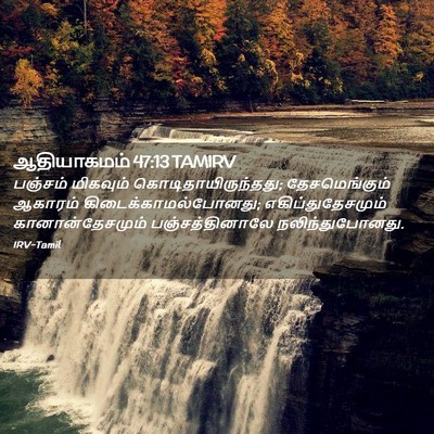Picture 02 - ஆதியாகமம் 47:13 TAMIRV - பஞ்சம் மிகவும் - Bible Verse Picture