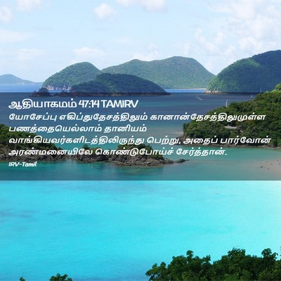 Picture 02 - ஆதியாகமம் 47:14 TAMIRV - யோசேப்பு - Bible Verse Picture