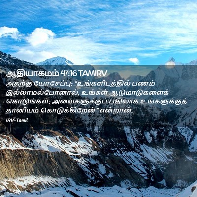 Picture 02 - ஆதியாகமம் 47:16 TAMIRV - அதற்கு யோசேப்பு: - Bible Verse Picture