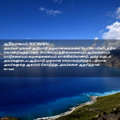 Picture 02 - ஆதியாகமம் 47:17 TAMIRV - அவர்கள் தங்கள் - Bible Verse Picture
