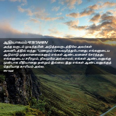 Picture 02 - ஆதியாகமம் 47:18 TAMIRV - அந்த வருடம் - Bible Verse Picture