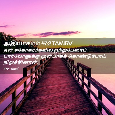 Picture 02 - ஆதியாகமம் 47:2 TAMIRV - தன் சகோதரர்களில் - Bible Verse Picture