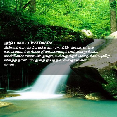 Picture 02 - ஆதியாகமம் 47:23 TAMIRV - பின்னும் யோசேப்பு - Bible Verse Picture
