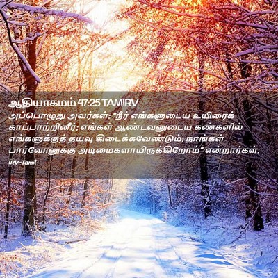 Picture 02 - ஆதியாகமம் 47:25 TAMIRV - அப்பொழுது - Bible Verse Picture