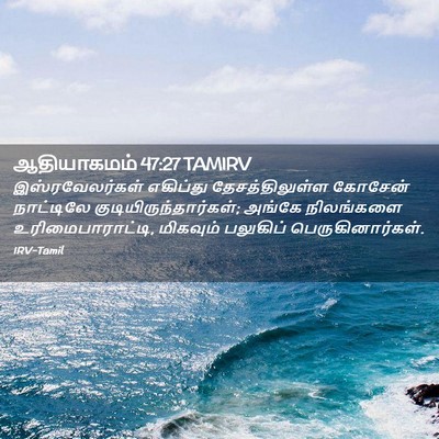 Picture 02 - ஆதியாகமம் 47:27 TAMIRV - இஸ்ரவேலர்கள் - Bible Verse Picture