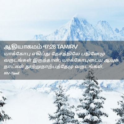 Picture 02 - ஆதியாகமம் 47:28 TAMIRV - யாக்கோபு எகிப்து - Bible Verse Picture