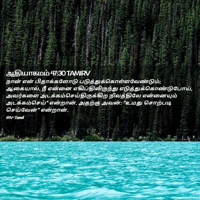 Picture 02 - ஆதியாகமம் 47:30 TAMIRV - நான் என் - Bible Verse Picture