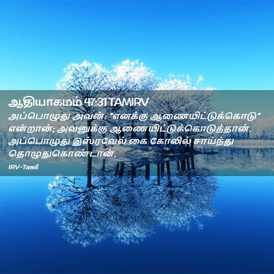 Picture 02 - ஆதியாகமம் 47:31 TAMIRV - அப்பொழுது அவன்: - Bible Verse Picture