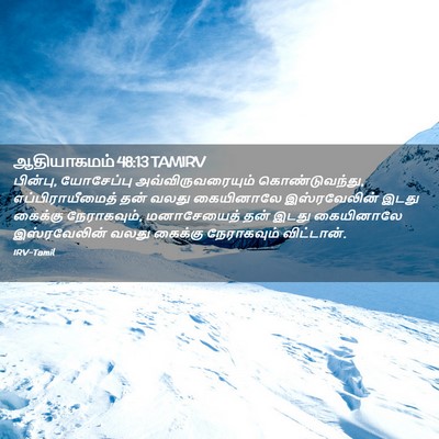 Picture 02 - ஆதியாகமம் 48:13 TAMIRV - பின்பு, யோசேப்பு - Bible Verse Picture
