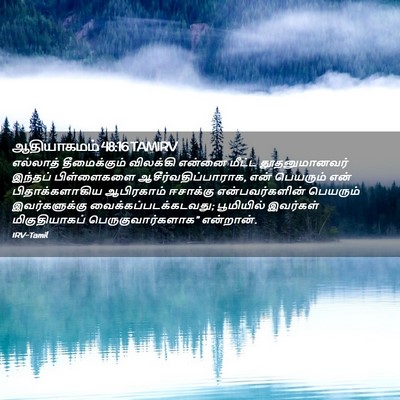 Picture 02 - ஆதியாகமம் 48:16 TAMIRV - எல்லாத் - Bible Verse Picture
