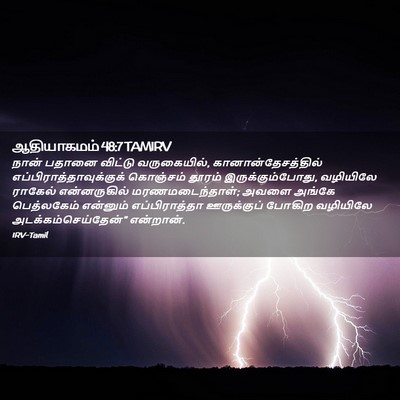 Picture 02 - ஆதியாகமம் 48:7 TAMIRV - நான் பதானை விட்டு - Bible Verse Picture