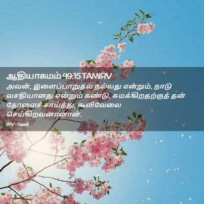 Picture 02 - ஆதியாகமம் 49:15 TAMIRV - அவன், - Bible Verse Picture