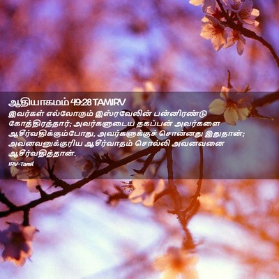 Picture 02 - ஆதியாகமம் 49:28 TAMIRV - இவர்கள் எல்லோரும் - Bible Verse Picture