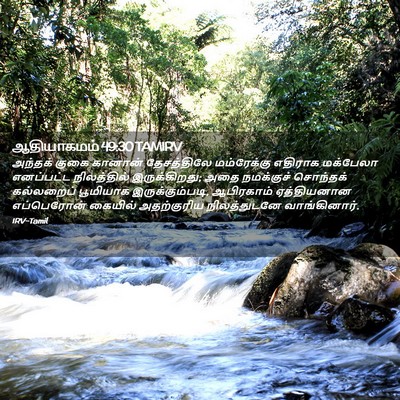 Picture 02 - ஆதியாகமம் 49:30 TAMIRV - அந்தக் குகை - Bible Verse Picture