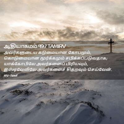 Picture 02 - ஆதியாகமம் 49:7 TAMIRV - அவர்களுடைய - Bible Verse Picture
