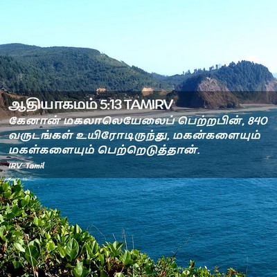 Picture 02 - ஆதியாகமம் 5:13 TAMIRV - கேனான் - Bible Verse Picture