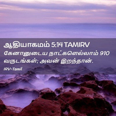Picture 02 - ஆதியாகமம் 5:14 TAMIRV - கேனானுடைய - Bible Verse Picture