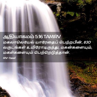Picture 02 - ஆதியாகமம் 5:16 TAMIRV - மகலாலெயேல் - Bible Verse Picture